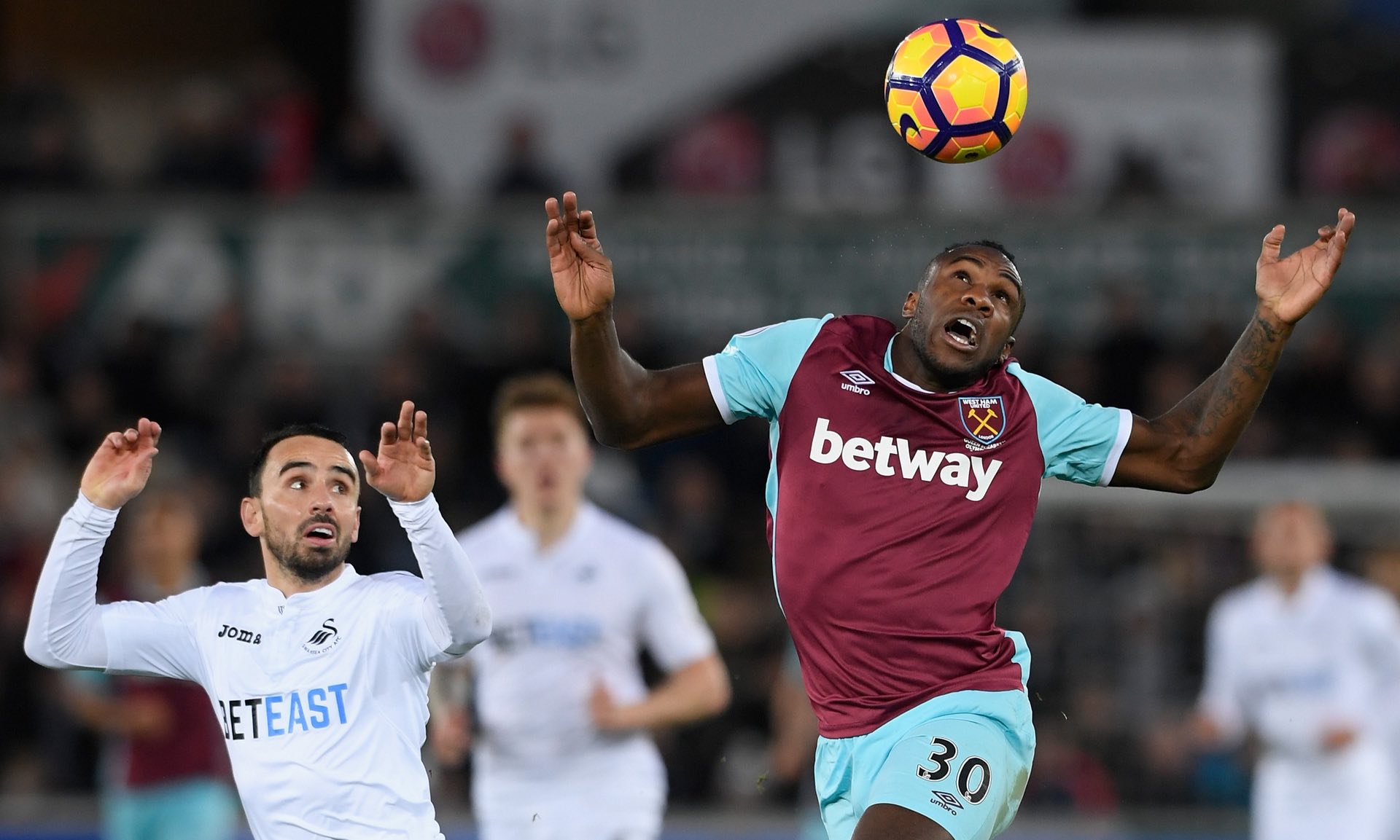 的新星不但 的新星不但